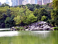 Central Park