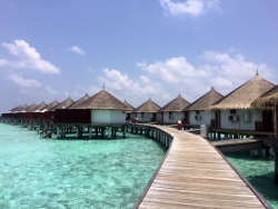 Zugang zu den Wasserbungalows