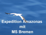 MS Bremen