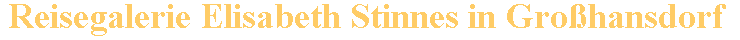 Reisegalerie Elisabeth Stinnes
